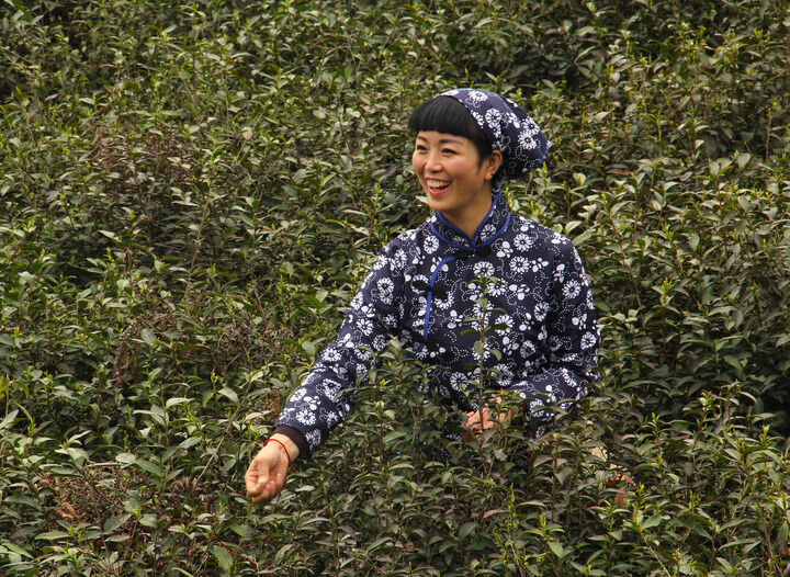 双碟秀直播 档案